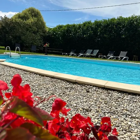 Chateau De La Saone Bed and Breakfast Lens-Lestang
