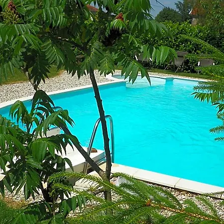 Chateau De La Saone Bed & Breakfast